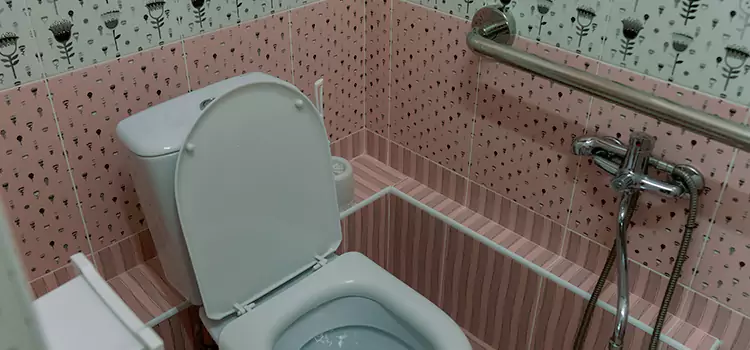 Meeting Diverse Needs With Accessible Restroom Solutions in Anjou, QC